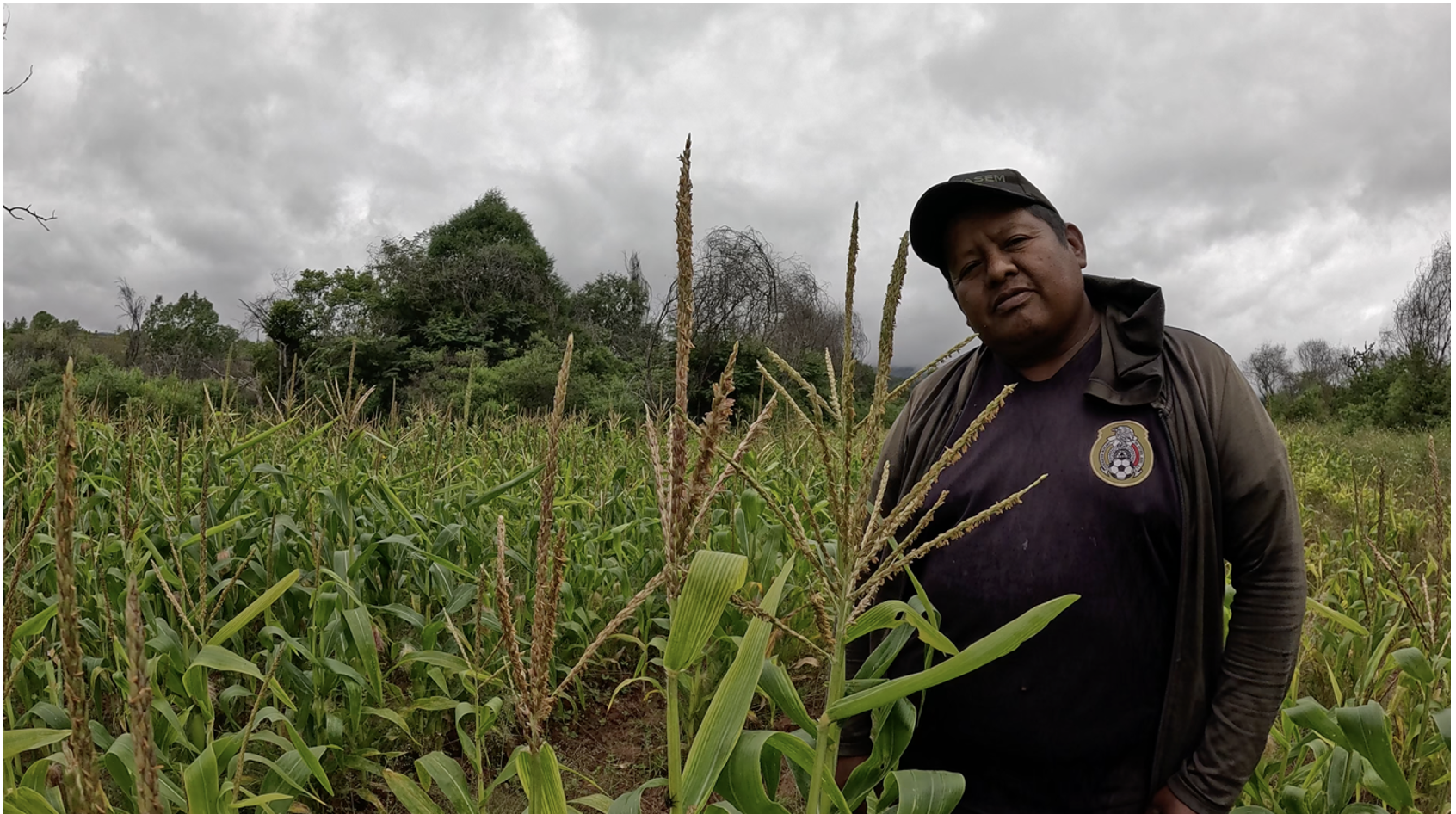 Waldo Reyes Rodríguez (Foto: CIMMYT)